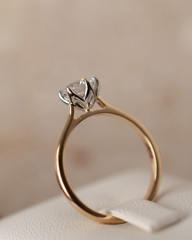 https://houseofquadri.com/cdn/shop/articles/2fc474ce83d853f3c2a4ac6b83befeb8.jpg?v=1746698533