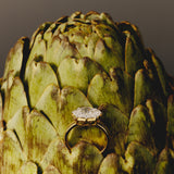 3 Ct Oval East-West Ring