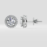 2 ct Solitaire Halo Earrings