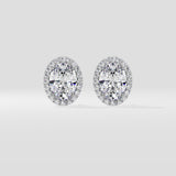 1.5 ct Oval Halo Studs