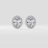 1.5 ct Oval Halo Studs
