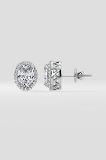 1.5 ct Oval Halo Studs - House of Quadri