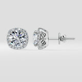 2 ct Cushion Halo Studs