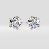 6 Ct Solitaire Studs